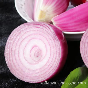 Export New Season Fresh Vegtable Red Onion